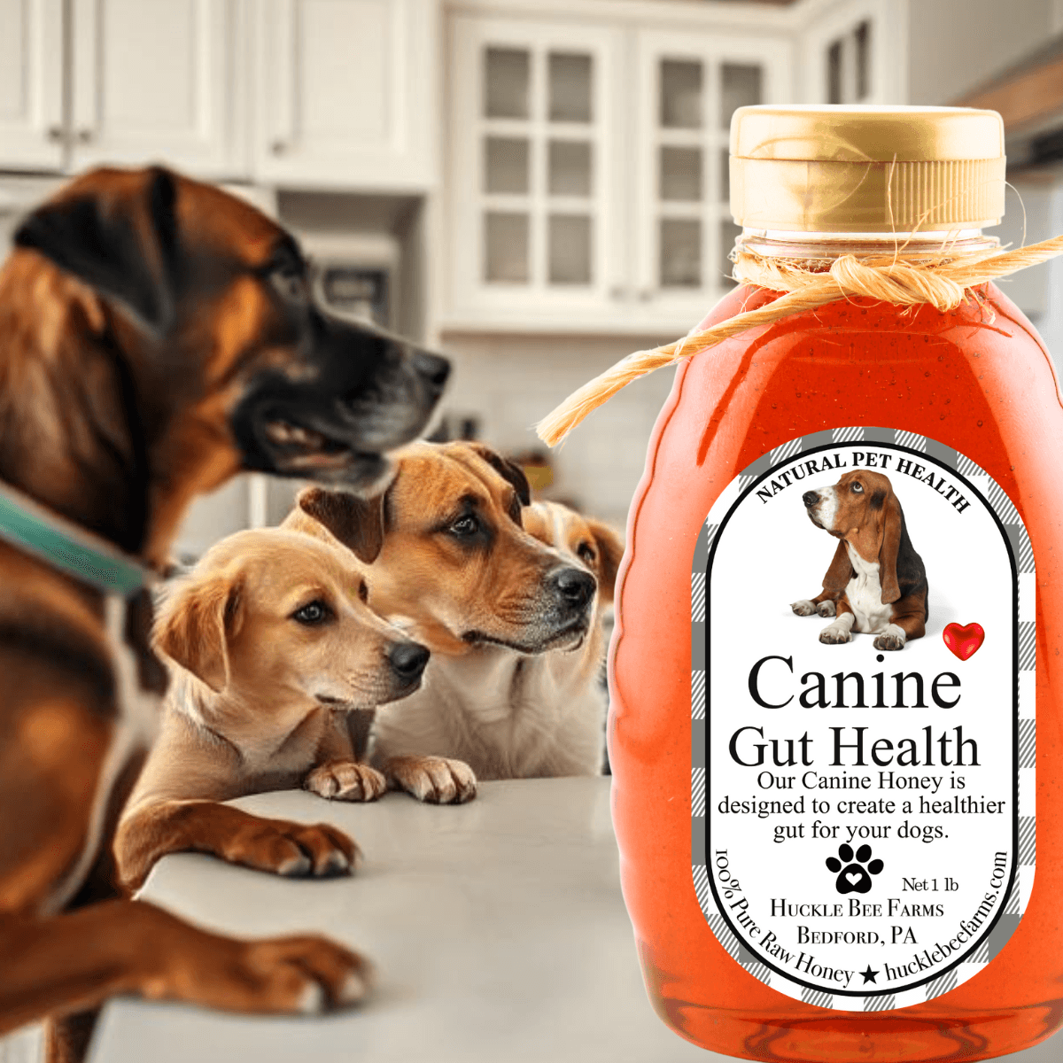Canine honey