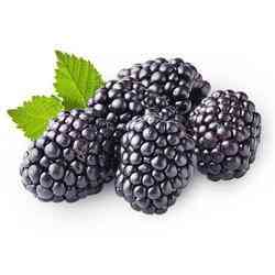 Blackberry Honey Bliss: Sweeten Dishes with Nature's Delight - Huckle Bee Farms LLC