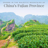 Ginger Peach 100% White Tea Bags - 50 Tea Bags - Huckle Bee Farms LLC