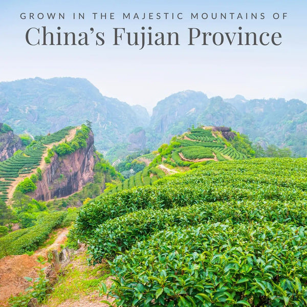 Ginger Peach 100% White Tea Bags - 50 Tea Bags - Huckle Bee Farms LLC