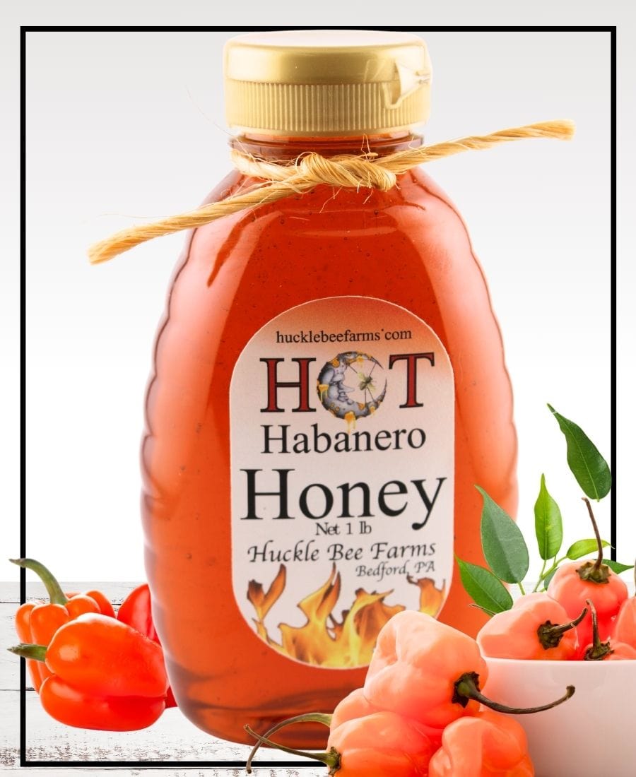 Habanero Infused Honey - Huckle Bee Farms LLC