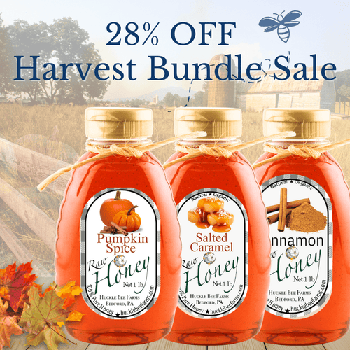 🍁 Harvest Honey Bundle – Pumpkin, Salted Caramel & Cinnamon - Huckle Bee Farms LLC
