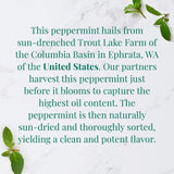 Organic American Peppermint SuperHerb® Herbs Of Origin Tea Bags - Tin 36Tea Bags - Huckle Bee Farms LLC