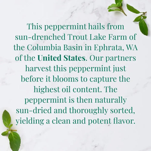 Organic American Peppermint SuperHerb® Herbs Of Origin Tea Bags - Tin 36Tea Bags - Huckle Bee Farms LLC