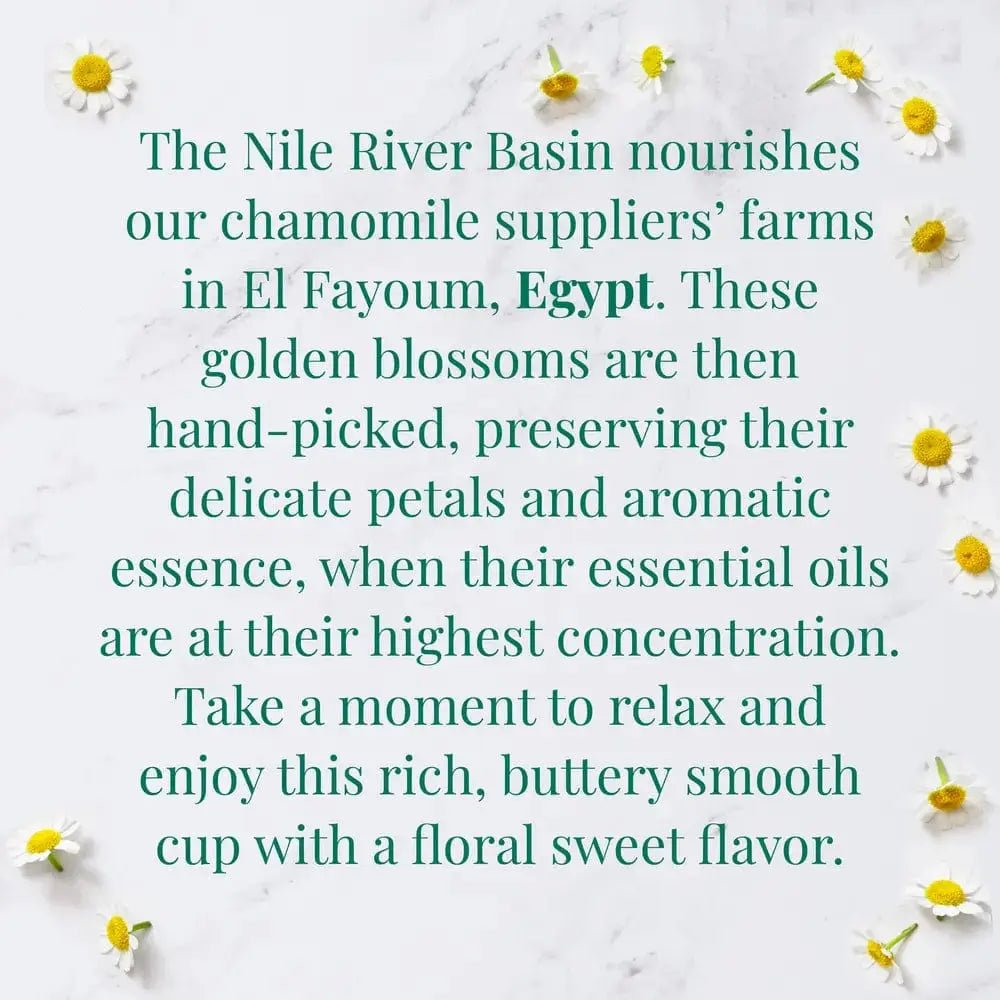 Organic Egyptian Chamomile SuperHerb® Herbs of Origin Tea Bags - Tin 36Tea Bags - Huckle Bee Farms LLC