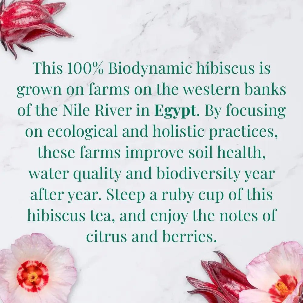 Organic Egyptian Hibiscus SuperHerb® Herbs of Origin Tea Bags - Tin 36Tea Bags - Huckle Bee Farms LLC
