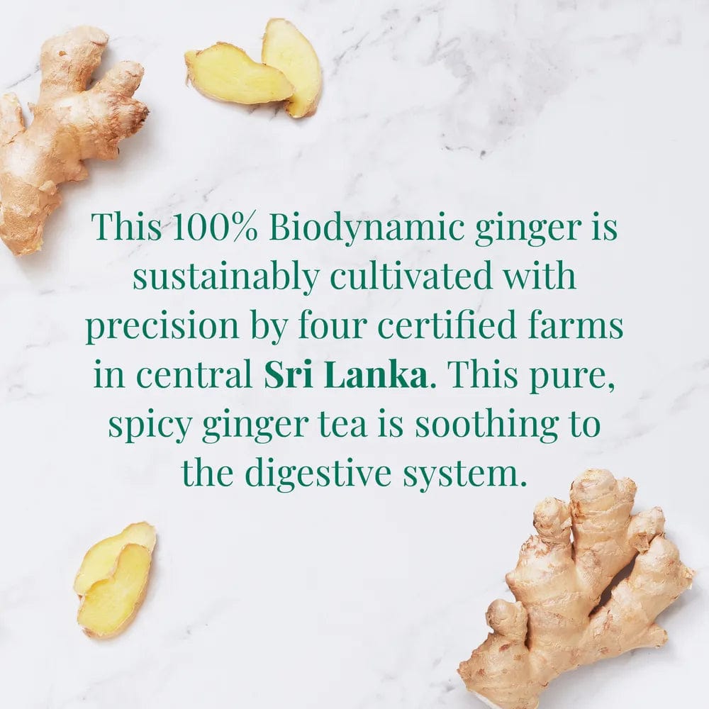 Organic Sri Lankan Ginger SuperHerb® Herbs of Origin Tea Bags - Tin 36 Tea Bags - Huckle Bee Farms LLC