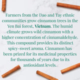 Organic Vietnamese Cinnamon SuperHerb® Herbs of Origin Tea Bags - Tin 36Tea Bags - Huckle Bee Farms LLC