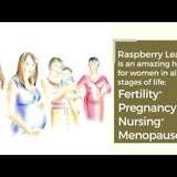 Raspberry Leaf SuperHerb® Fruity Blend For Women's Wellness - Huckle Bee Farms