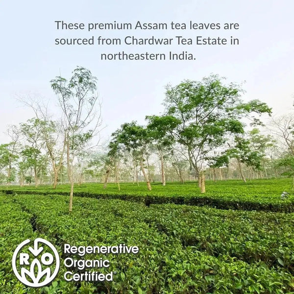 Regenerative Organic Certified® Assam Black Iced Tea Pouches - 8 Pouches - Huckle Bee Farms LLC