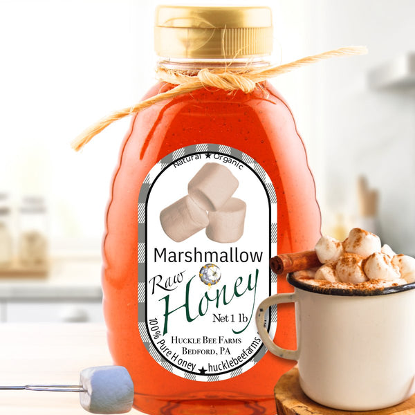 S'more Bundle – Chocolate Honey & Marshmallow Honey by Huckle Bee Farms LLC featuring a 1 lb bottle of raw marshmallow honey with marshmallows and hot cocoa.