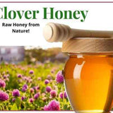 Wholesale Clover Honey - Huckle Bee Farms LLC