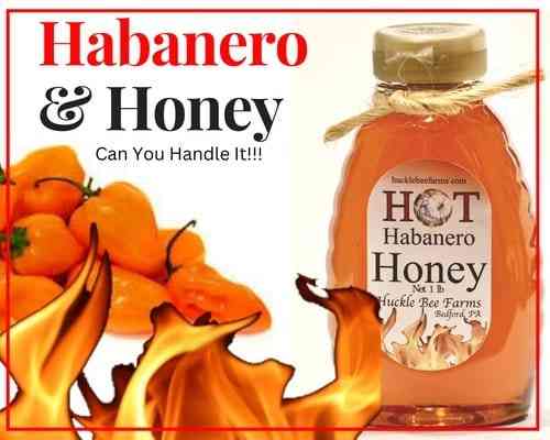 Wholesale Habanero Infused Honey - Huckle Bee Farms LLC