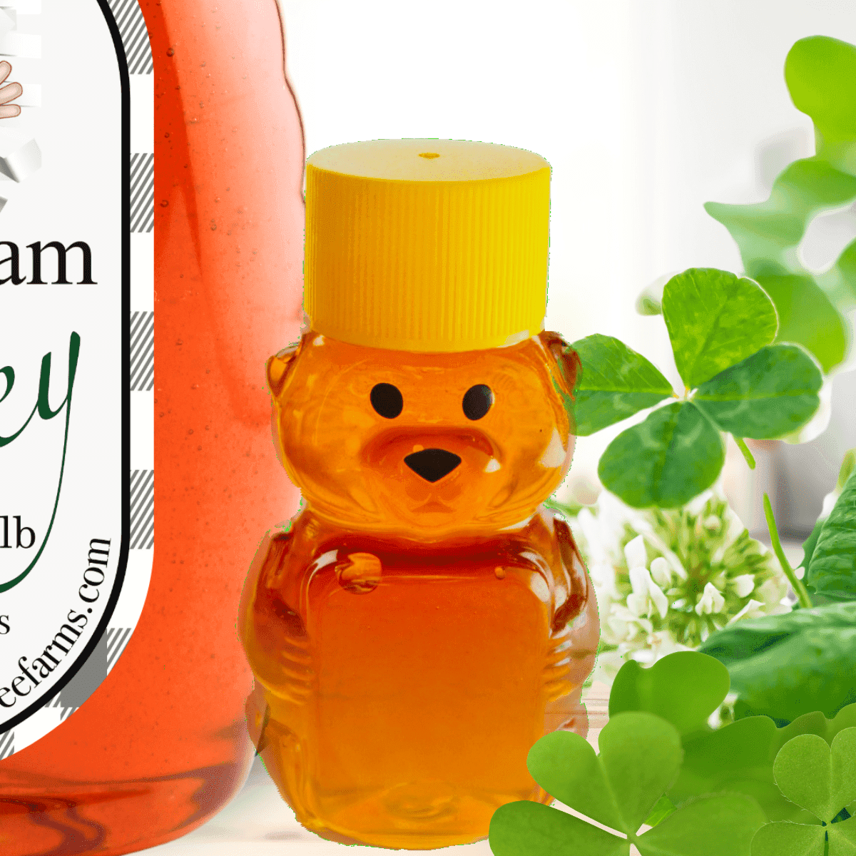 Wholesale Irish Cream Honey 🍀 - Huckle Bee Farms LLC