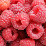 Wholesale Raspberry Infused Honey - Huckle Bee Farms LLC