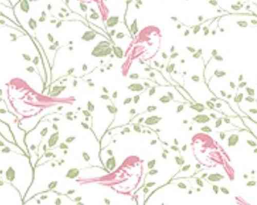 Gift Wrap | Gift | Gift